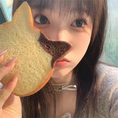 偕老 封面