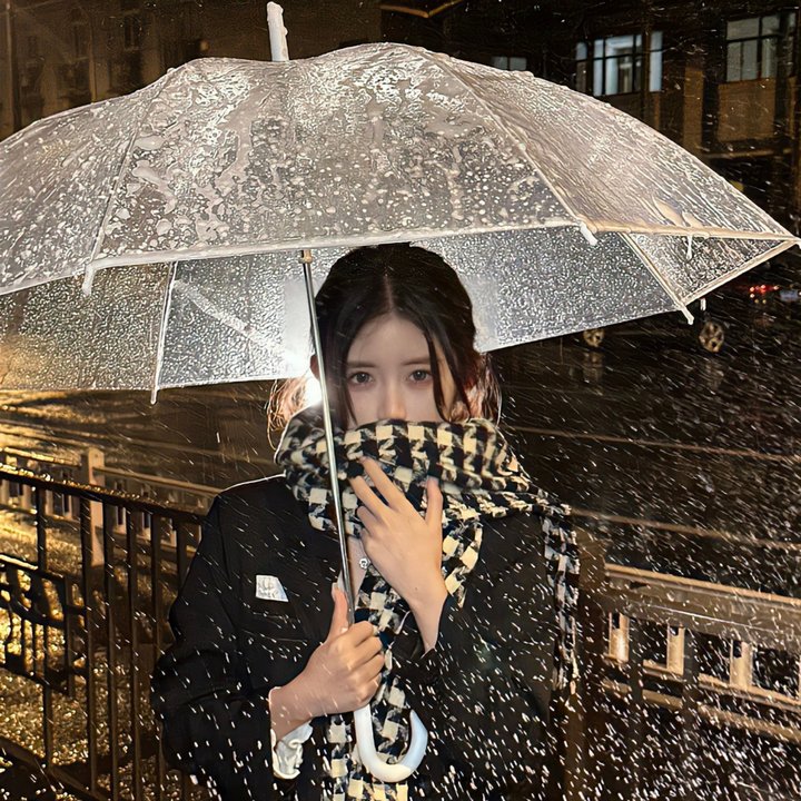 丽莎 封面